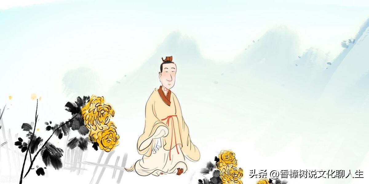 种菜是一种乐趣摘菜是一种心情,阳台小菜园种菜的乐趣说说