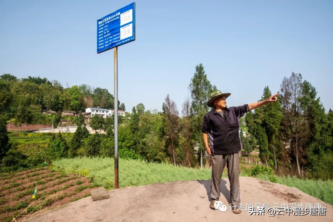 越江码头轮渡,越江轮渡在哪里