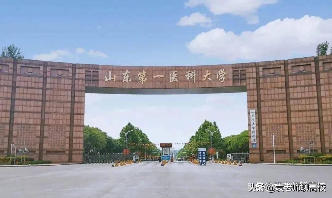 山东四大医学院排名,山东各个大学医学院排名