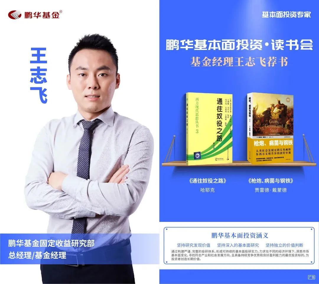 鹏华基金王宗合价值分析,鹏华基金王宗合深度分析