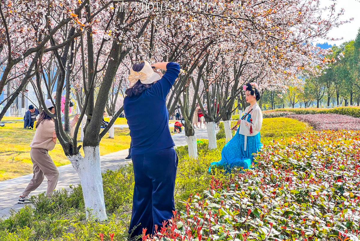 重庆潼南区有哪些好玩的,重庆潼南生态公园