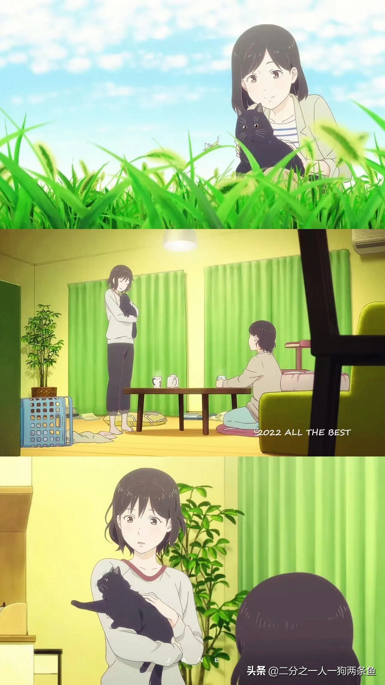 新海诚的全部作品壁纸,新海诚壁纸超清全面屏