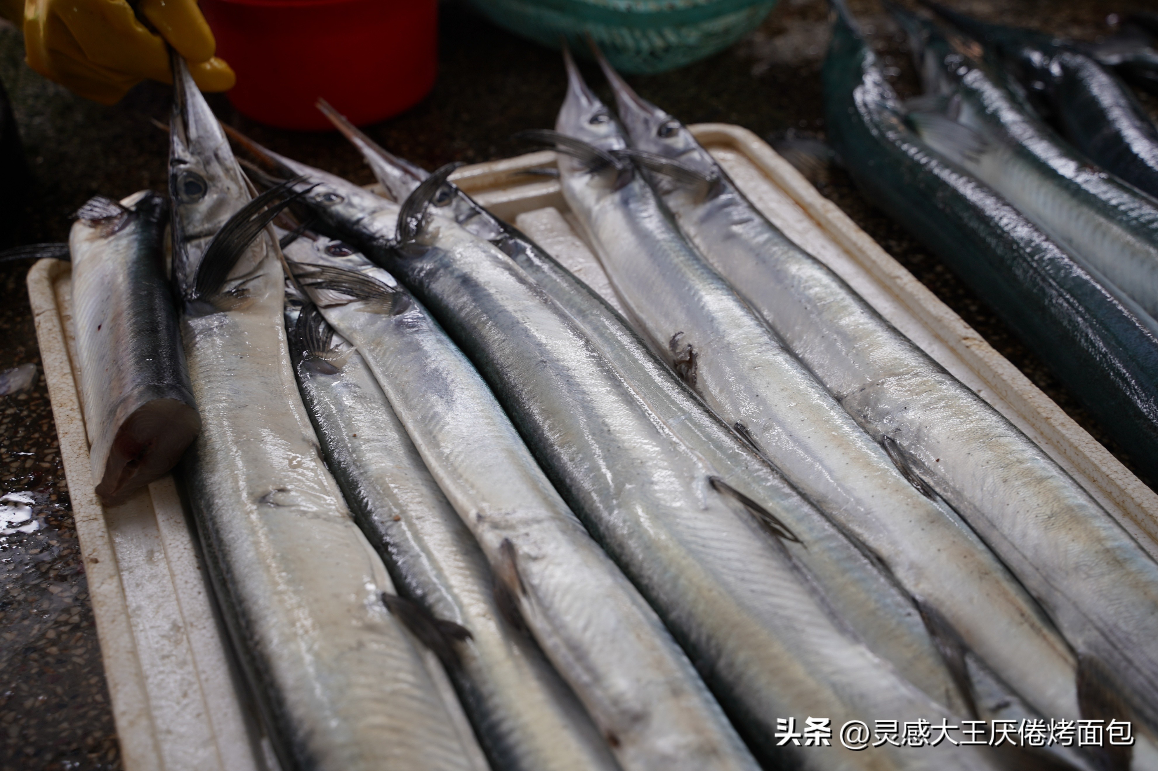 海南万宁有哪些大型农贸市场,海南万宁和乐菜市场