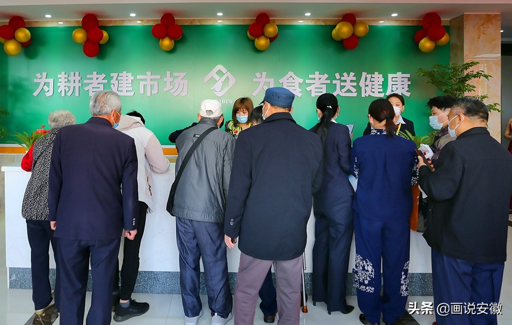 为耕者建市场，丰德百旺集团安徽分公司盛大开业仪式