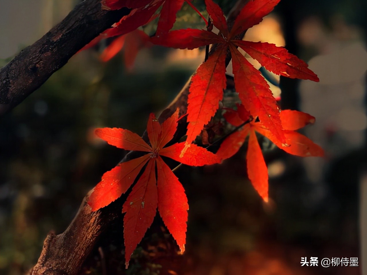 照片拍出来难看怎么修图,照片不能瞎拍