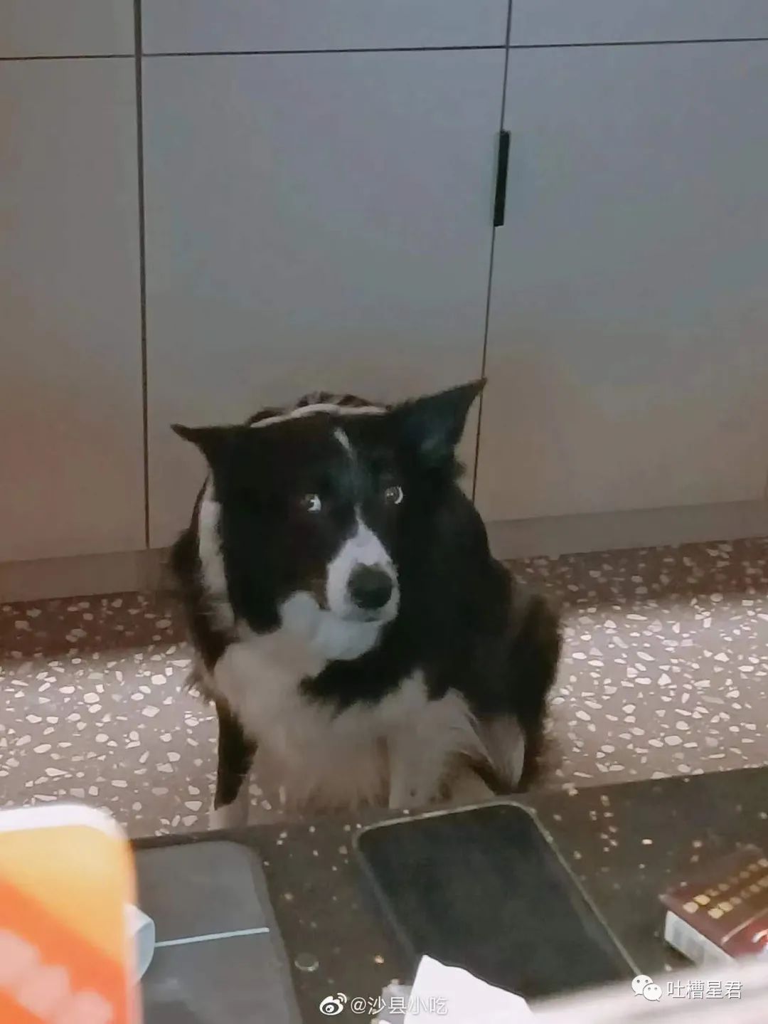 “男友花8150买包包，拆开后...”奢侈品不骗穷人！