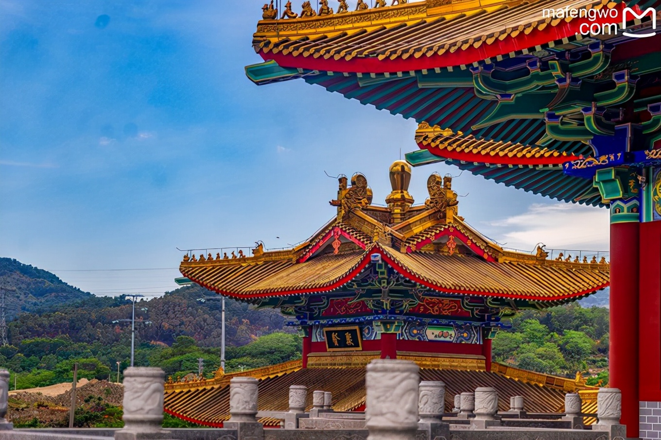 太安堂麒麟丸的功效与作用,太安堂股票最新消息行情