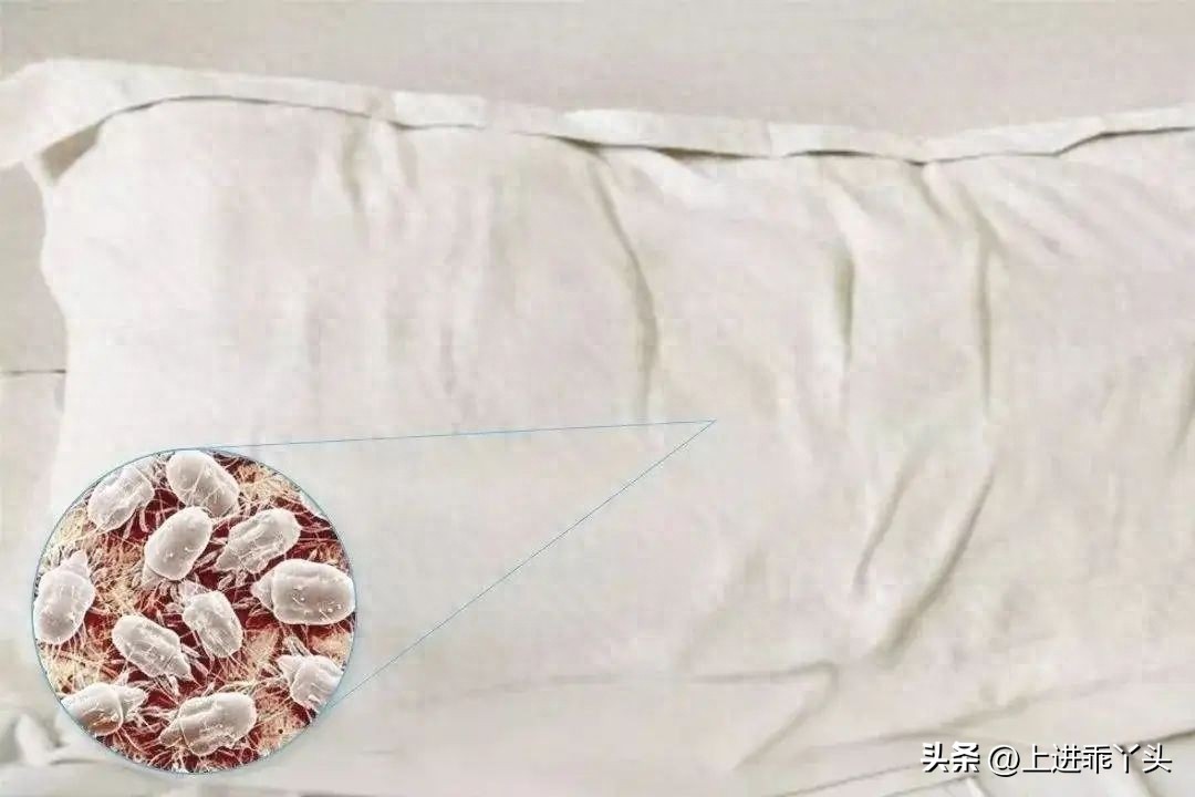 羽绒被长螨虫吗,羽绒被晾晒飞出的白色灰尘特别多