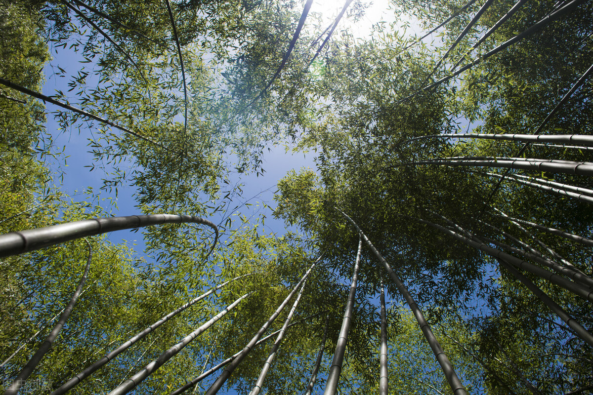 郭进拴重庆品火锅,郭进拴平湖春歌