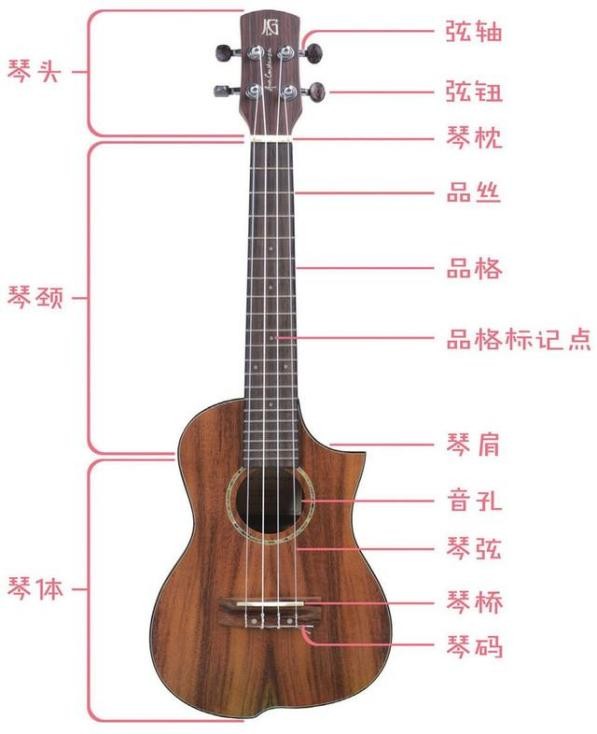 乐器教培视频,尤克里里入门教程零基础弹奏