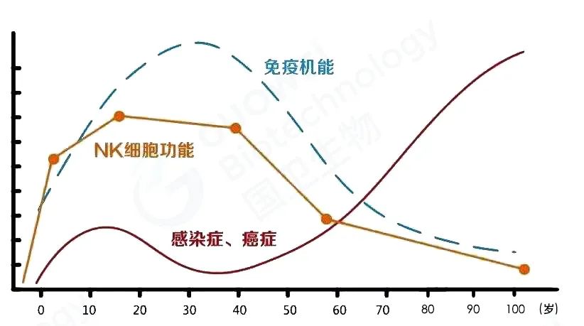 脐带血里存在大量的造血干细胞,脐带血冻存10年