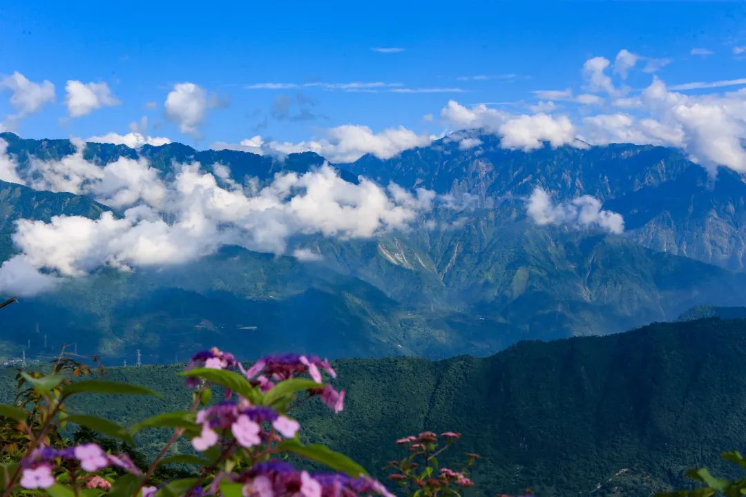 又见花开都江堰完整版,又见花开都江堰