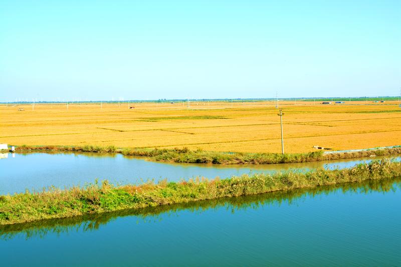 辽宁盘锦在哪个地方,去盘锦旅游哪里好