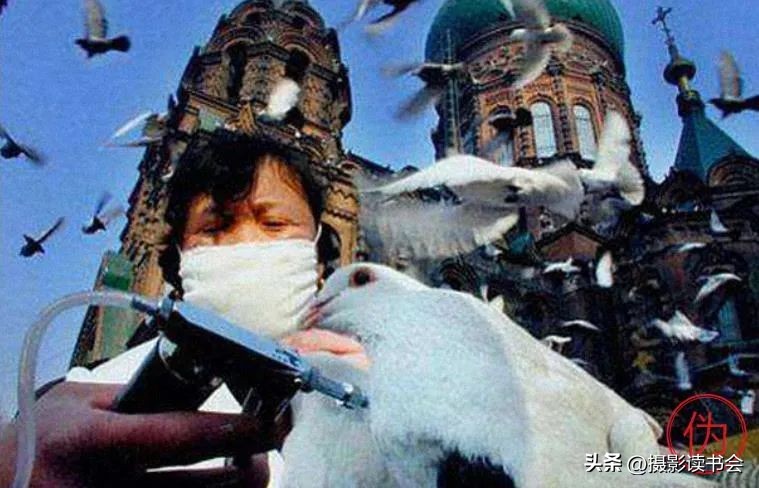 不是ps胜似ps的26张神奇照片,不是ps胜似ps的25张神奇照片