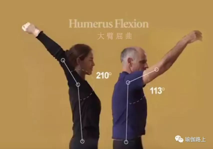 练瑜伽半年怎么走向高阶体式,练瑜伽我们不需要追求高难度体式