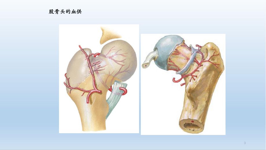 中老年小腿骨折怎么护理,老年人髋部骨折注意事项是什么