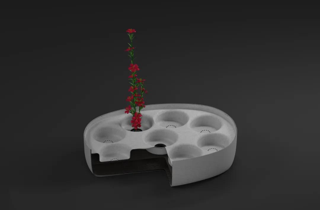 有趣的食品包装创意,可持续发展食品包装