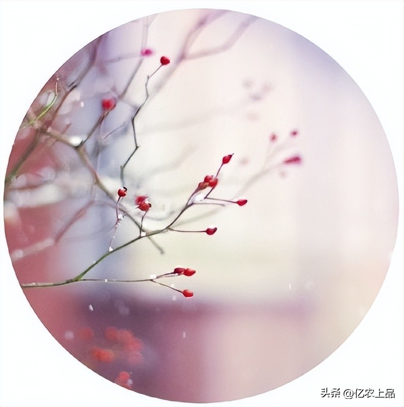 24节气立春从几号开始,24节气立春的意思和含义