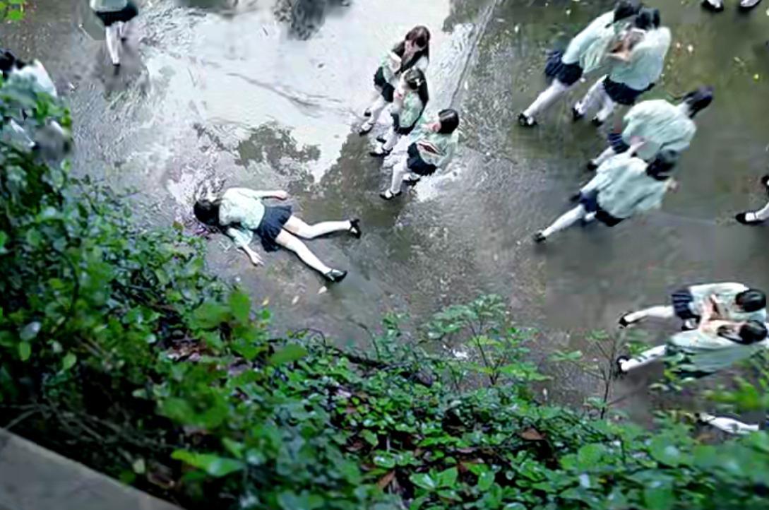 解密女生宿舍内幕,女生宿舍爆出惊天秘密