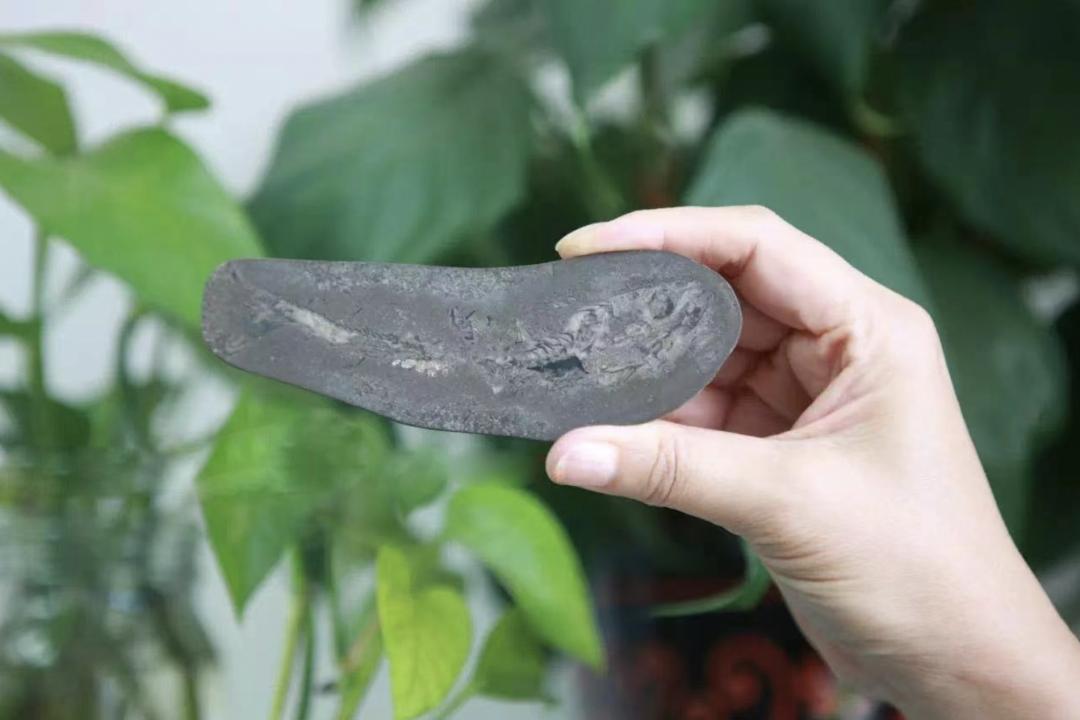 你车里的油和它们有关！探秘石化版“三星堆”宝藏