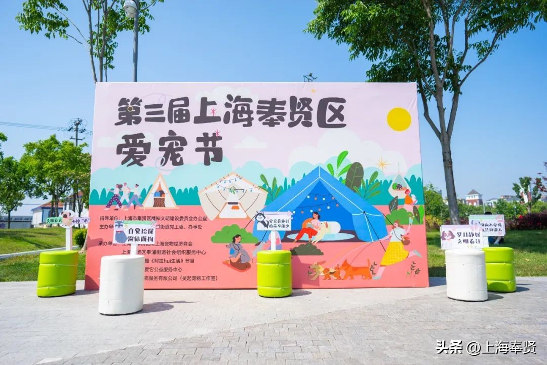 打造宠物社区,宠物友好型城市建设