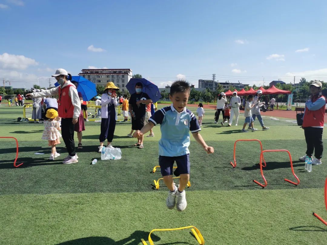 派迪茵体育产品,派迪茵体育直播