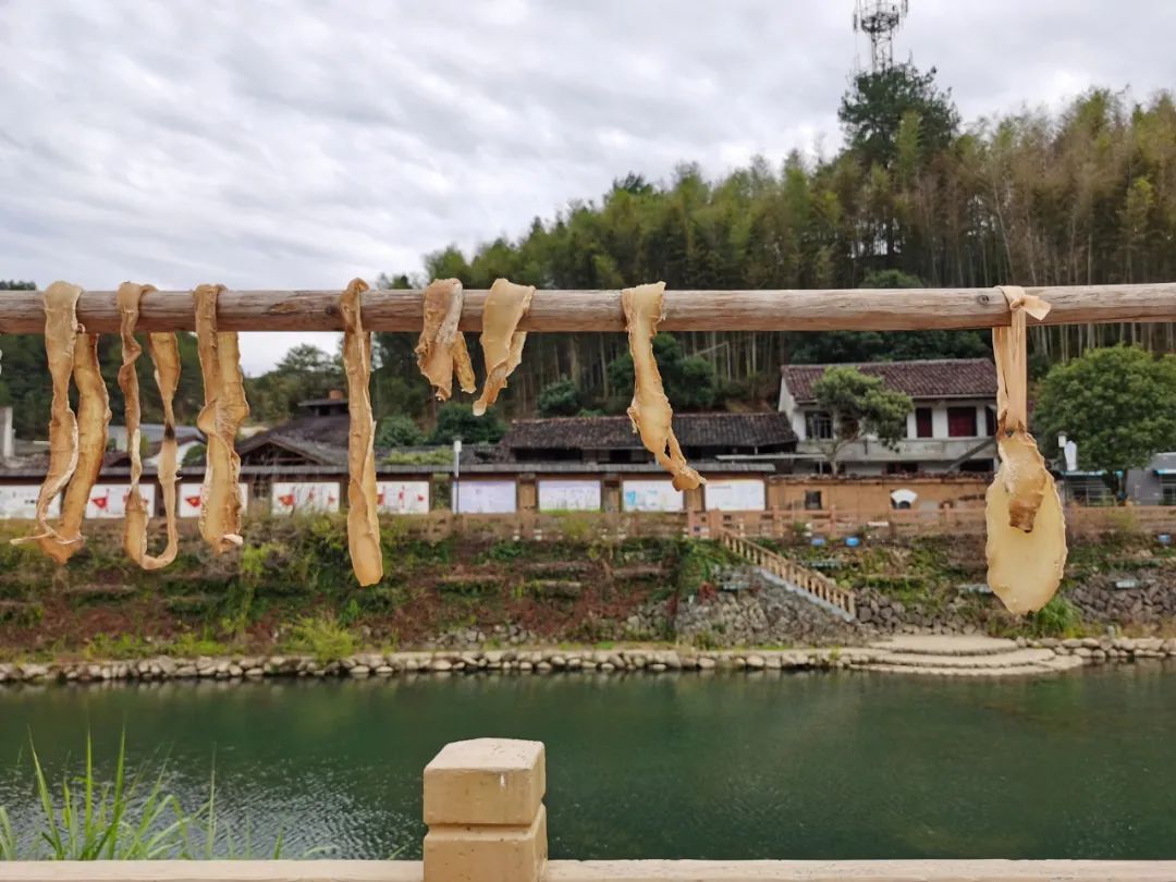 浙西南环游，喜欢龙泉，一座干干净净的山间小城