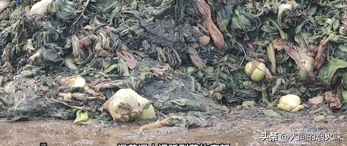 脚踩酸豆角事件,脚踩酸菜泡面事件完整视频