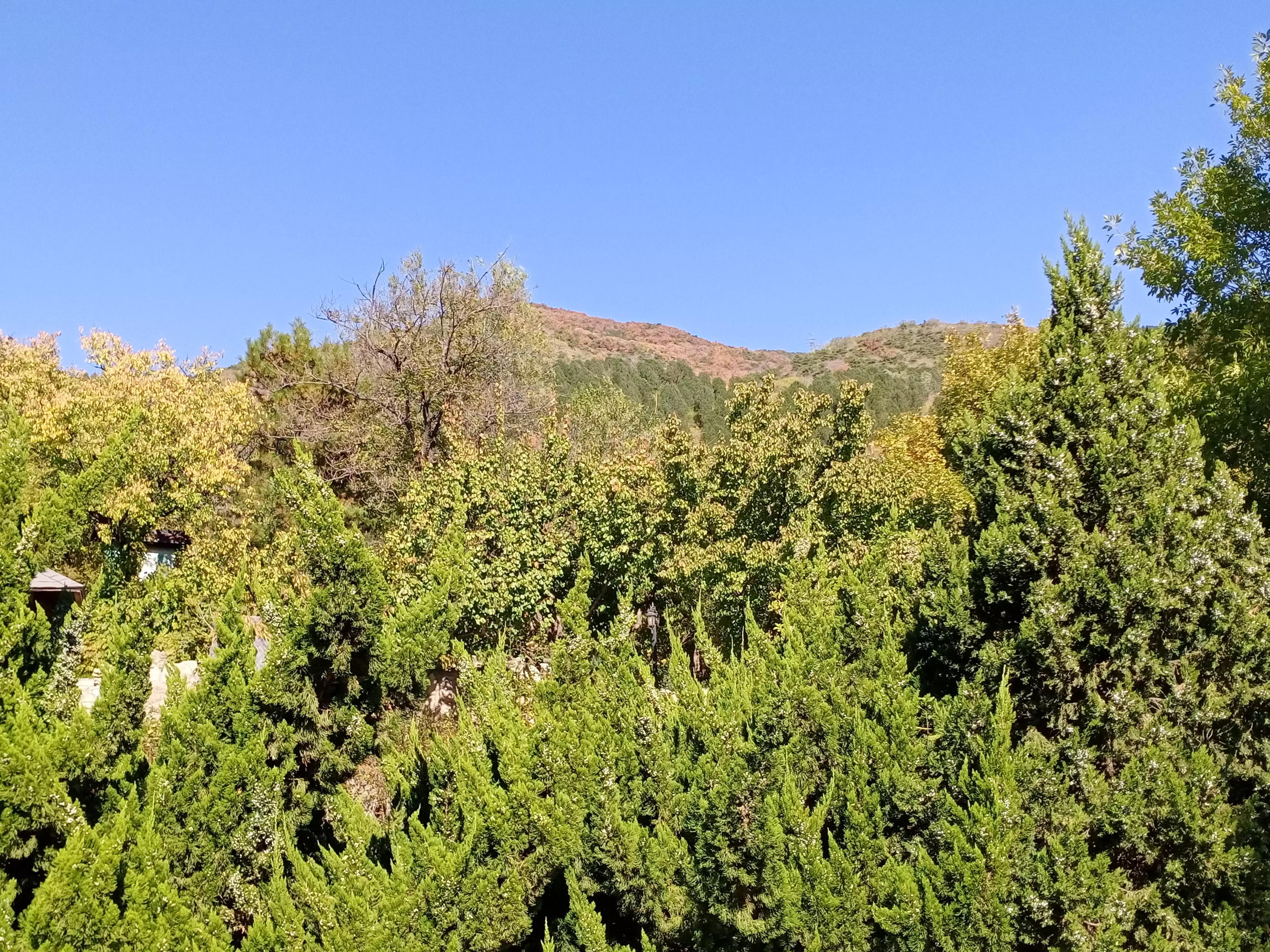 最好的温泉是硫磺温泉吗,凤山温泉和白鹿温泉度假村哪个好