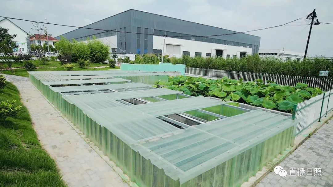 日照市冬季采暖,日照冬季取暖多少钱一平