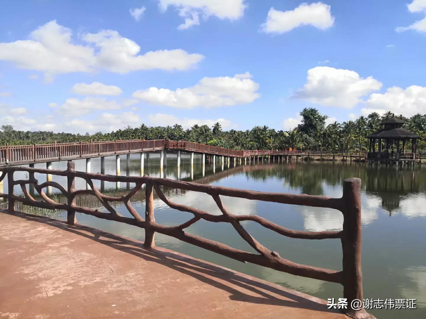 海南旅游起个时尚名字,带有海南特色的名字