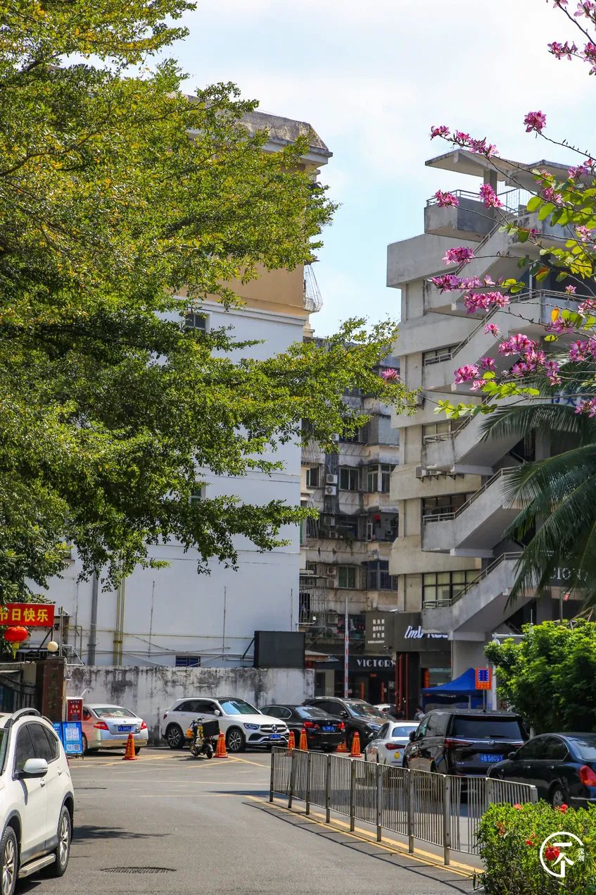 深圳有个什么富裕村,深圳有个村很出名