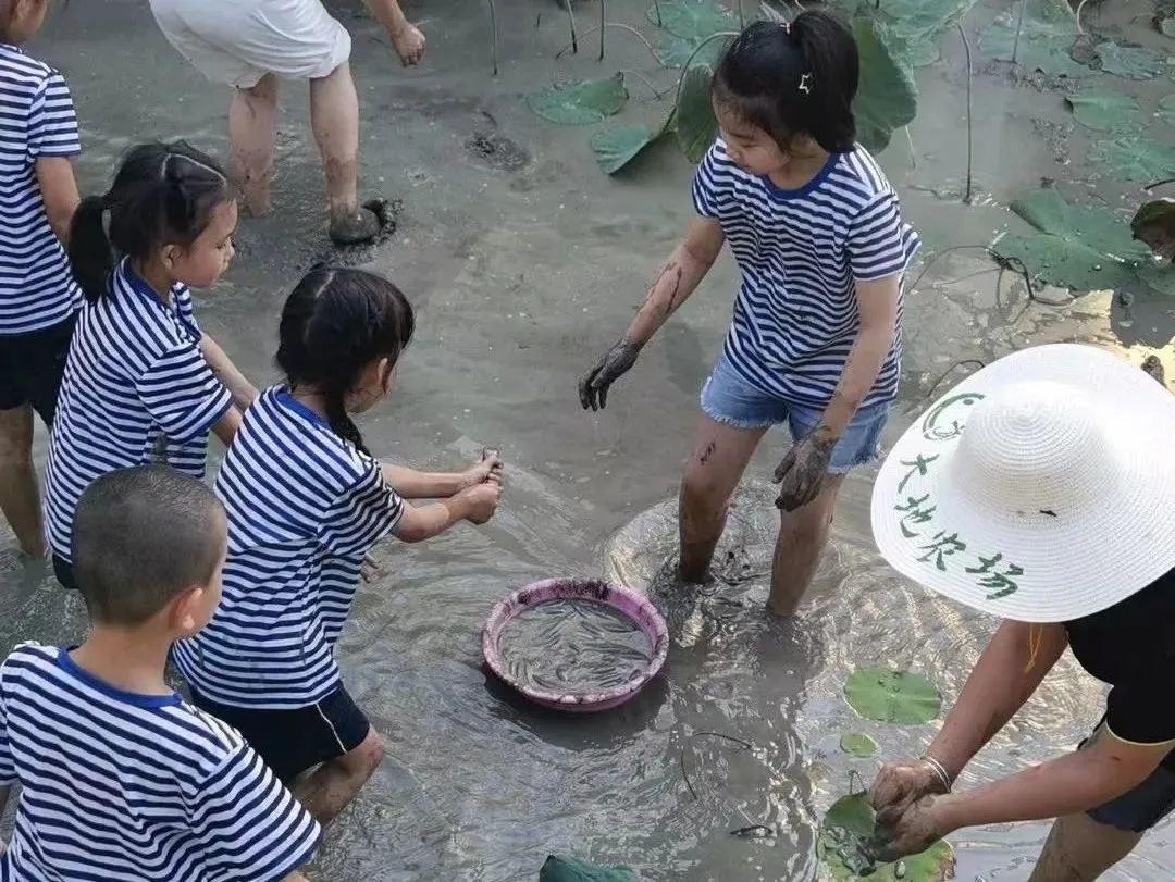 鼓浪屿可以当天预订船票攻略 (鼓浪屿还有免费的船票吗)