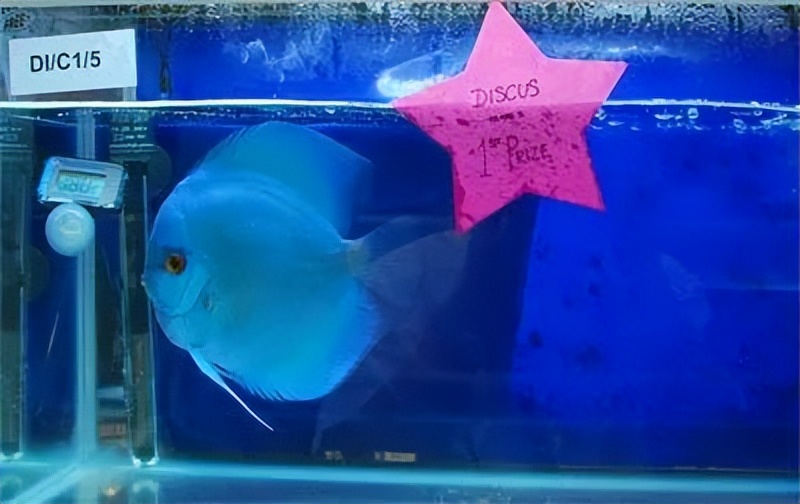 你不知道的国家冷知识德国篇,你不知道的国家冷知识英国