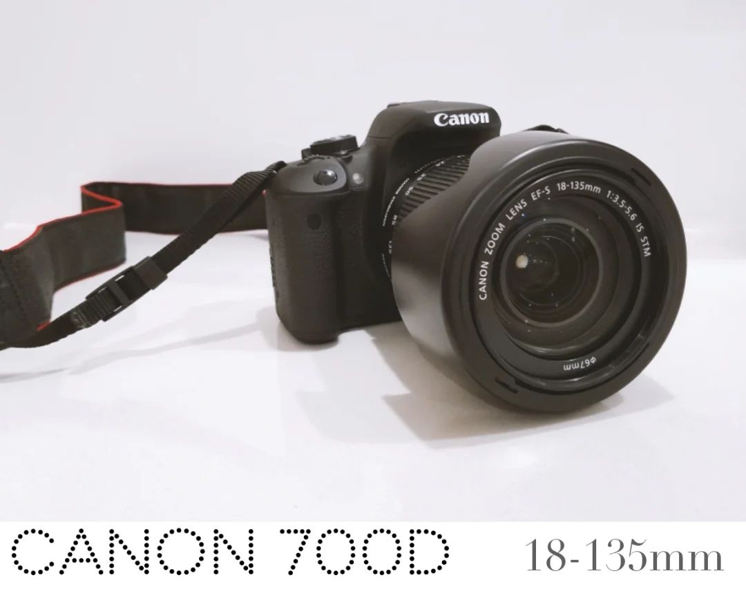 佳能镜头摄影入门人像,佳能入门人像镜头推荐