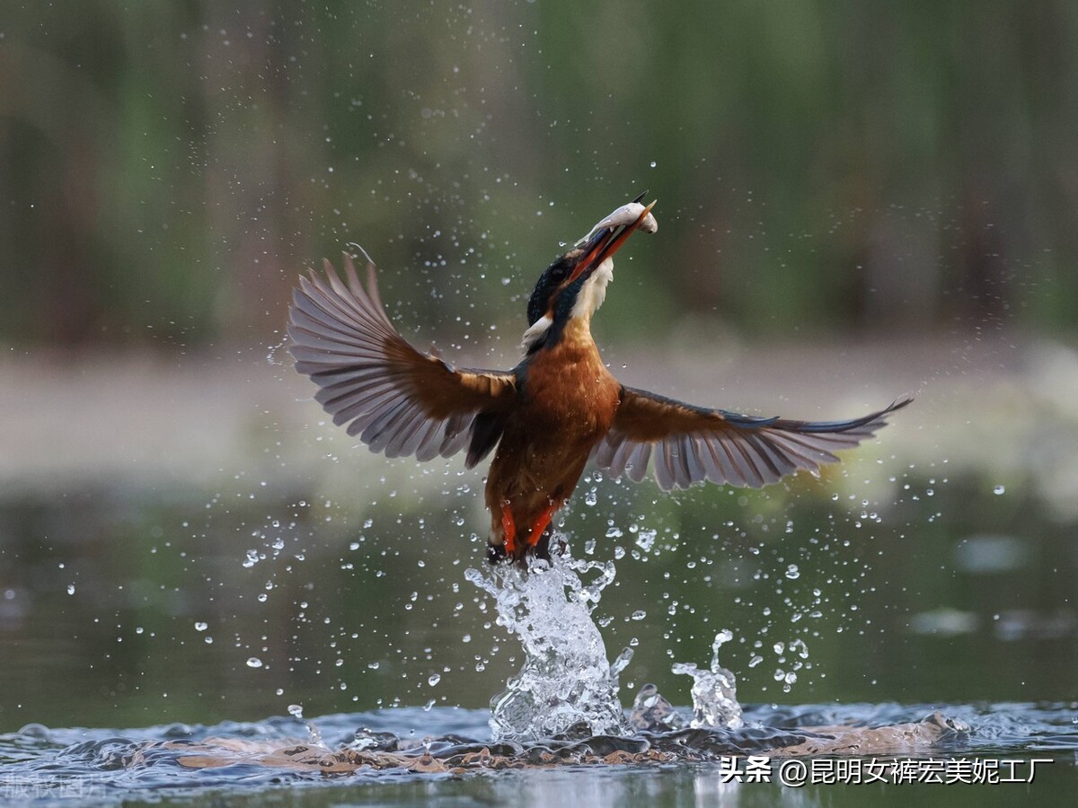 自媒体时代催生出很多新的行业,自媒体下一个风口会怎样