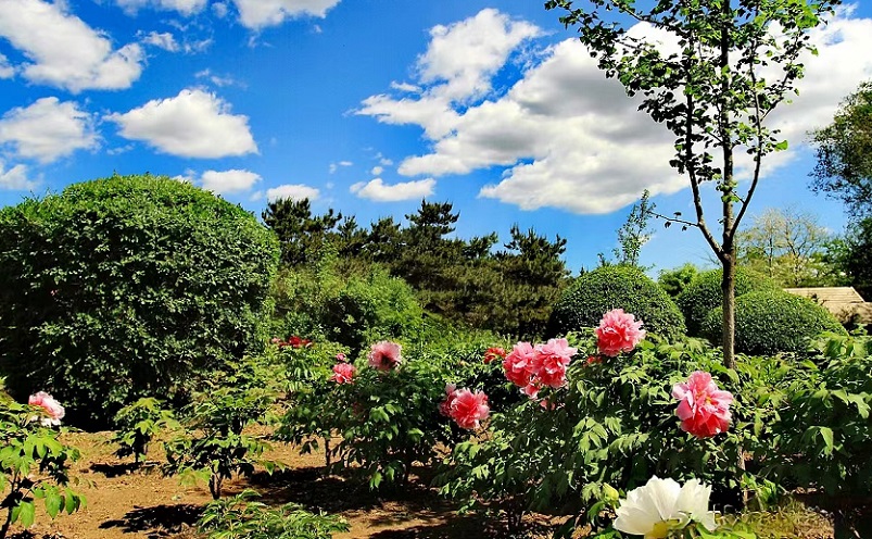 沈阳攻略必去的十大景点推荐,沈阳旅游必去十大景点推荐图片