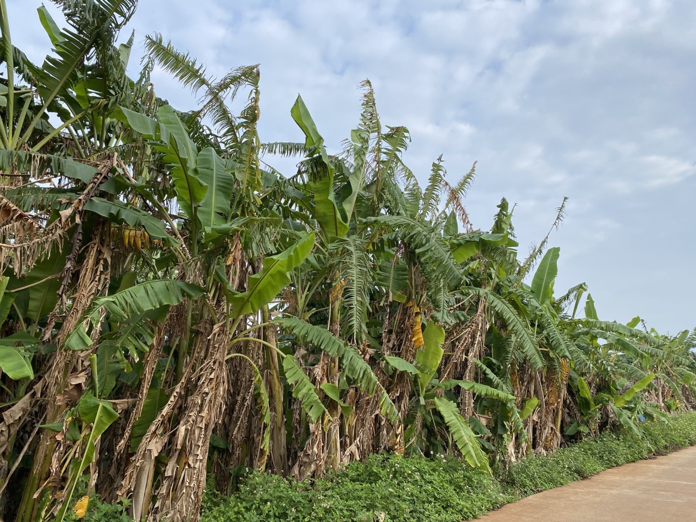 北海四天三晚住哪里最好,北海4天3晚详细攻略