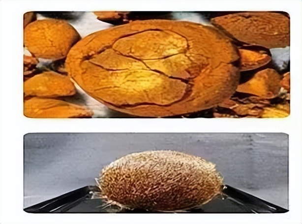 安宫牛黄丸起死回生的视频,安宫牛黄丸真的能起死回生吗