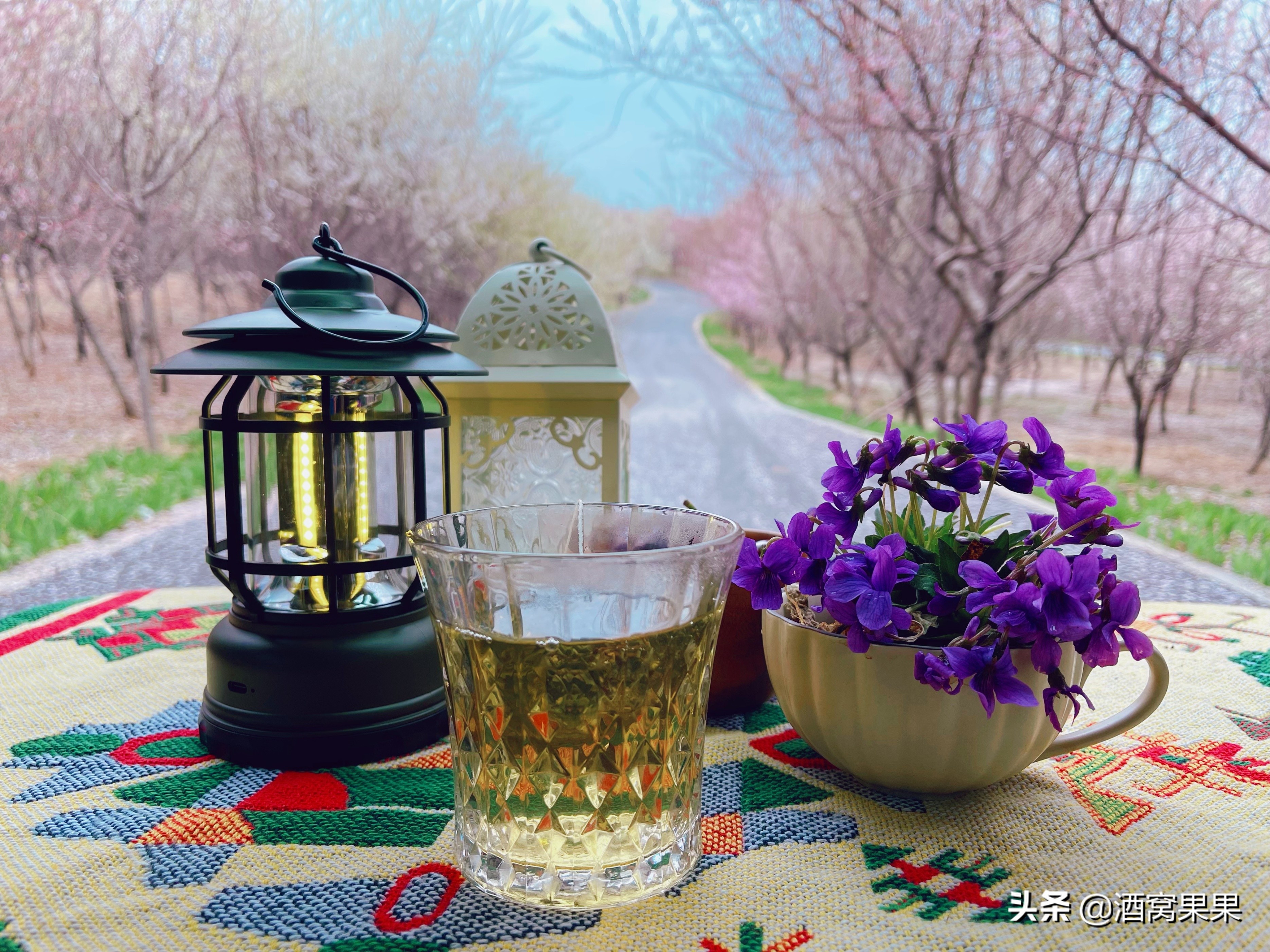 大连湾体育公园，十里桃花，不要门票停车免费还可露营遛娃