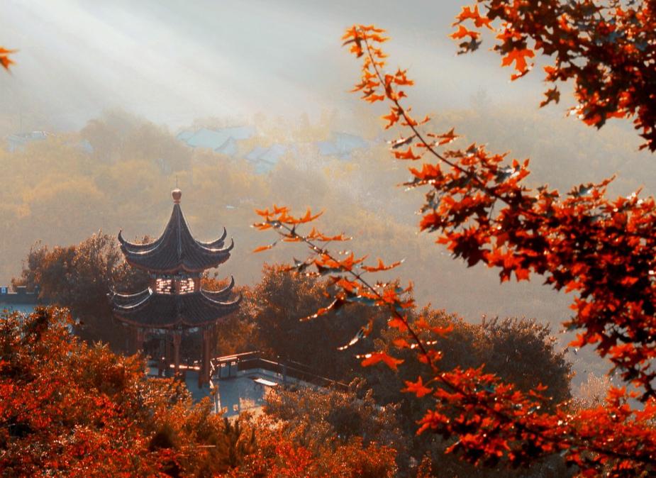 描写深秋景色优美的诗句,描写深秋优美句子古诗