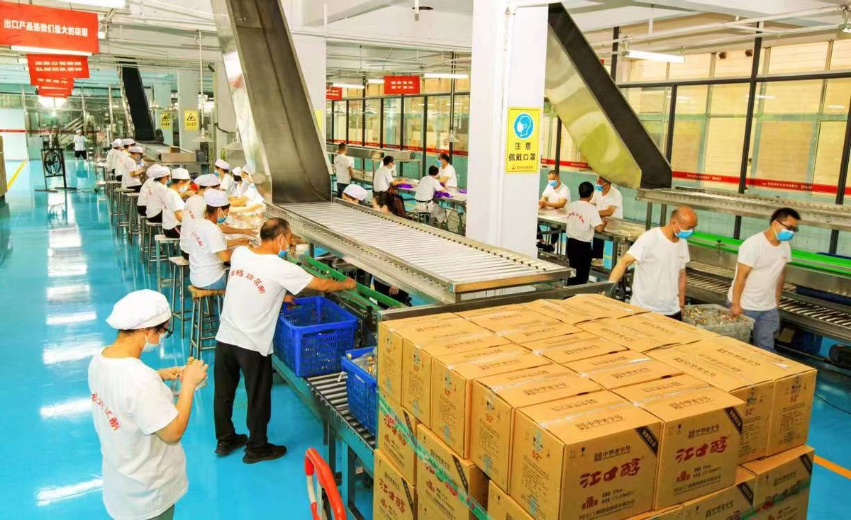 江口醇100周年,江口醇龙年主题活动