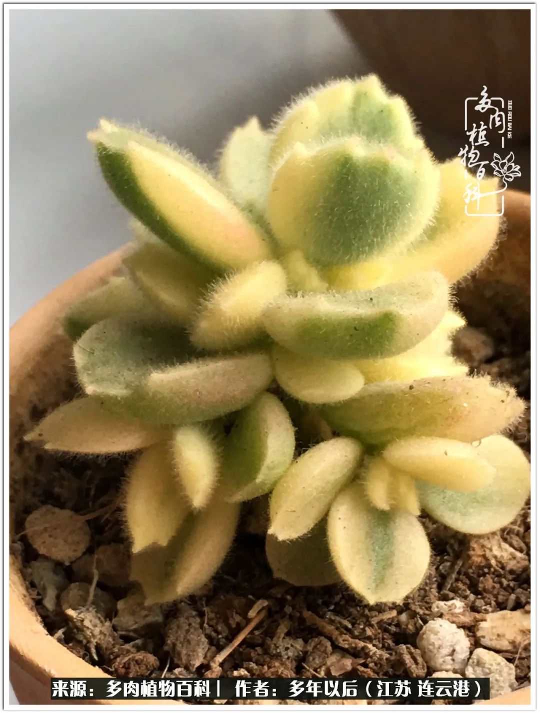 我若不弃，愿你不负我所期