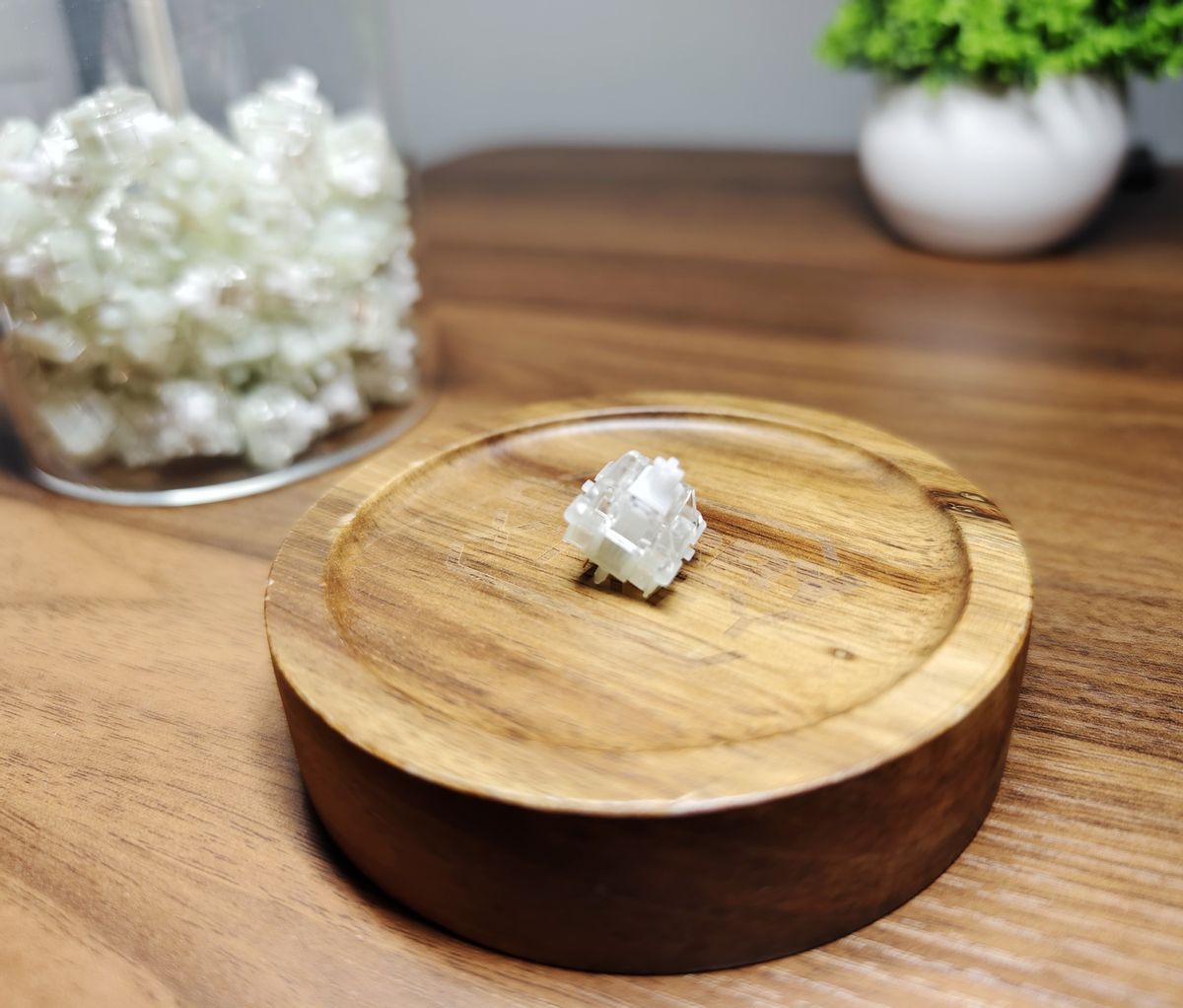 cherry1.0键盘测评青轴,cherry入门级机械键盘推荐哪款好