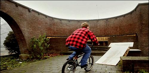 真实大象图片大全可爱,真实野生大象图片