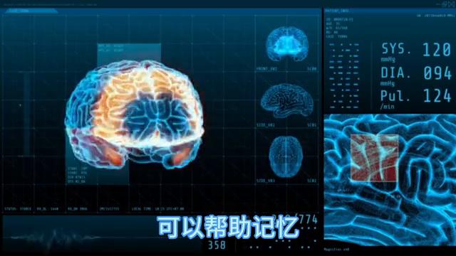 中老年人怎样减缓记忆力减退,老年人记忆力减退按摩什么穴位