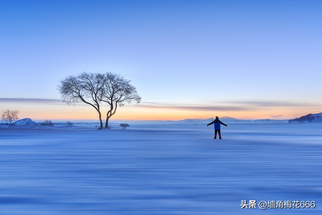 当年我家开饭店，他每天拿着小鱼来换包子，30年后，他又找上门了