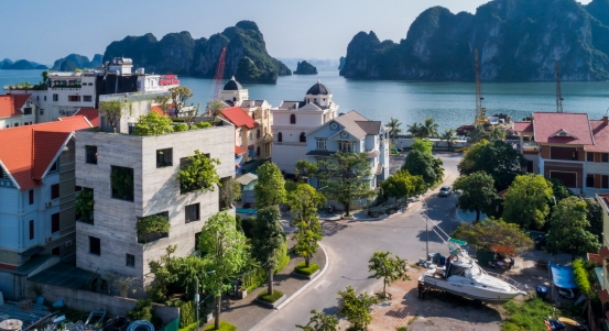 申请越南商务签,个人可以申请越南落地签批文吗