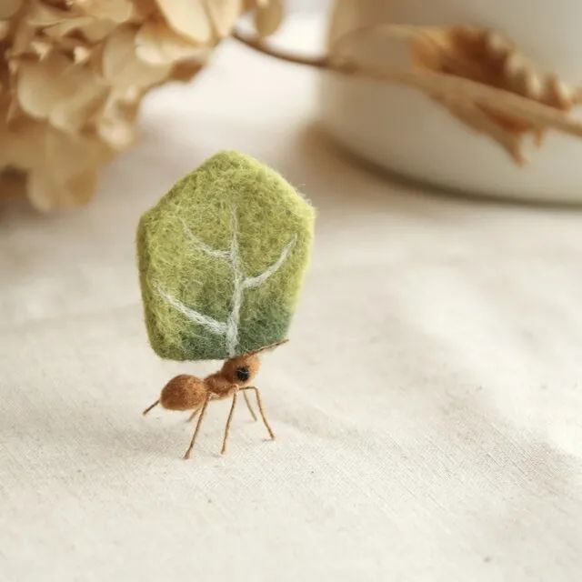 奇形怪状的羊毛毡,奇形怪状羊毛毡