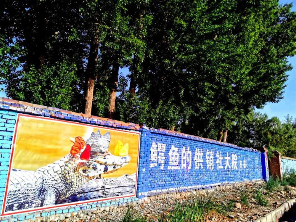 供销社还能继续存在吗,供销社以后还有发展吗